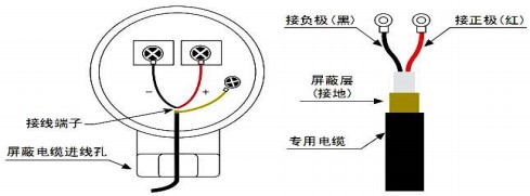 超声波蜜柚直播app新版官网安卓下载探头接线图
